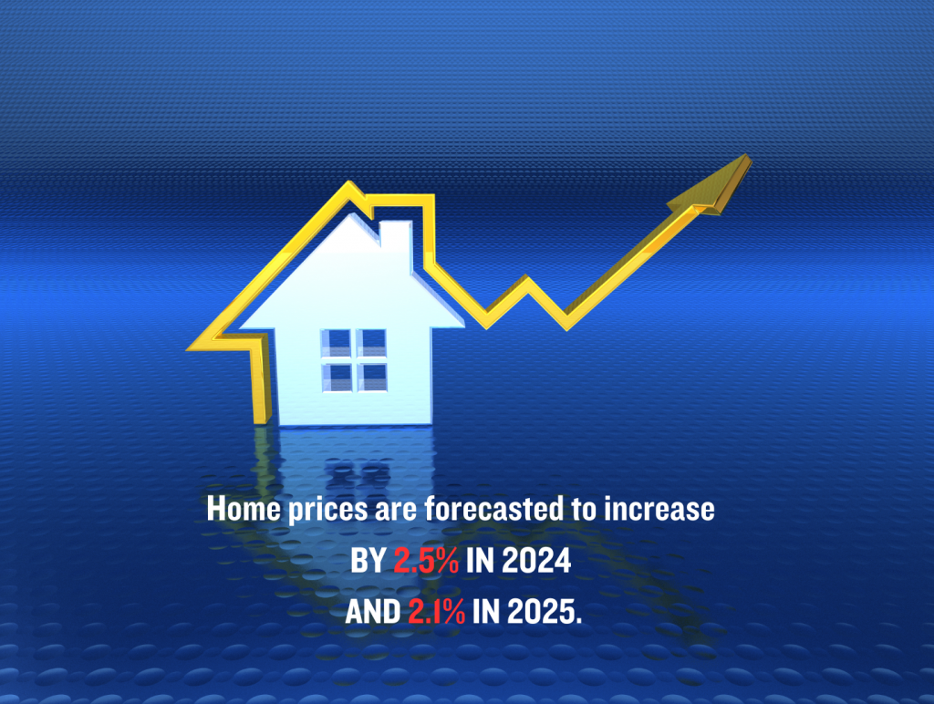 Housing Market Challenges and Recovery